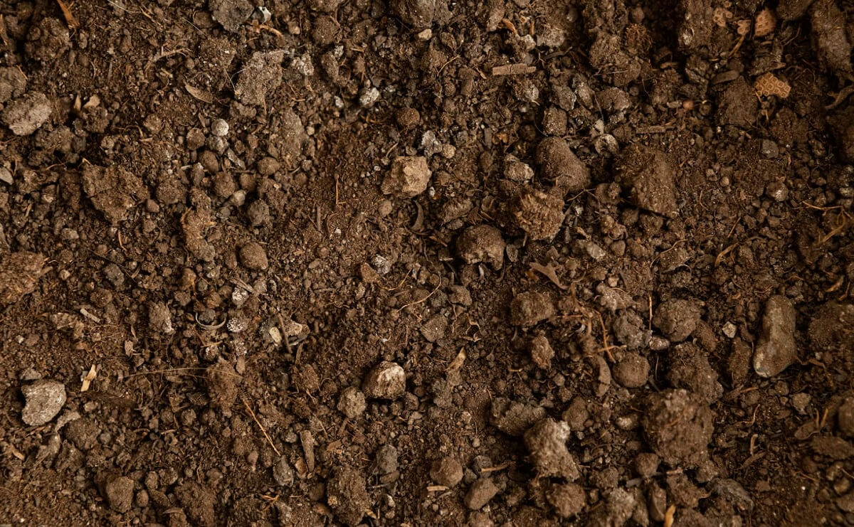 adania geologiczne gruntu