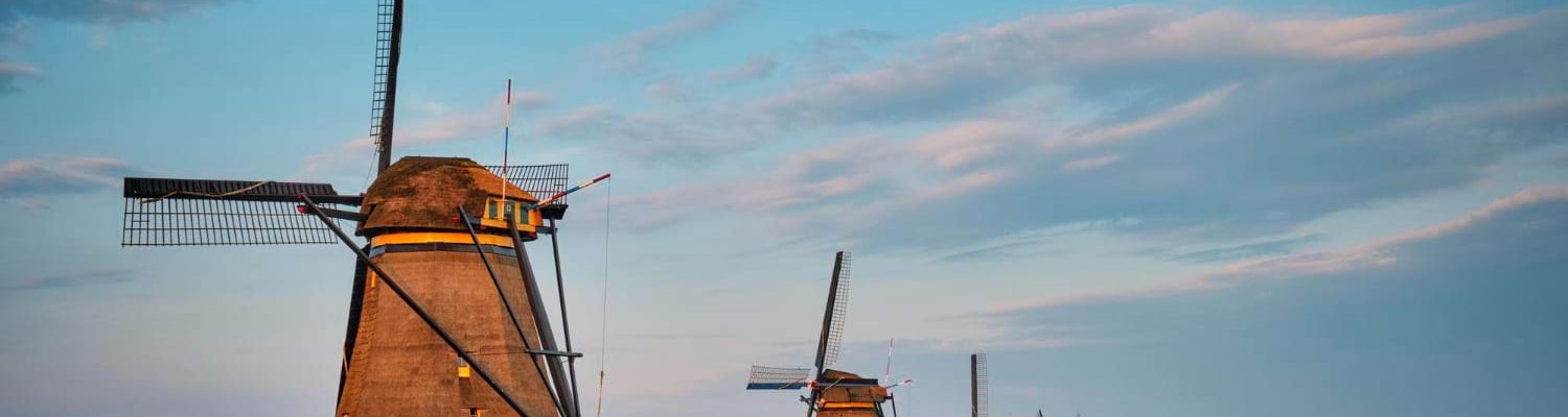 przewozy busami do holandii