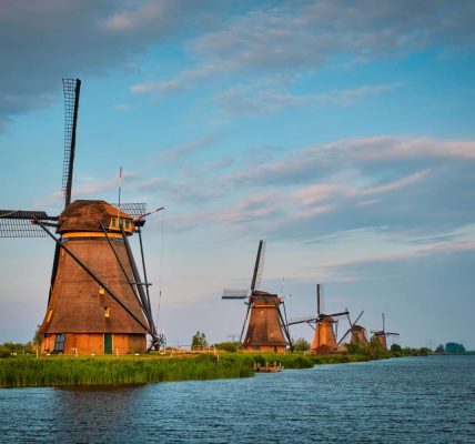 przewozy busami do holandii