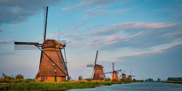 przewozy busami do holandii